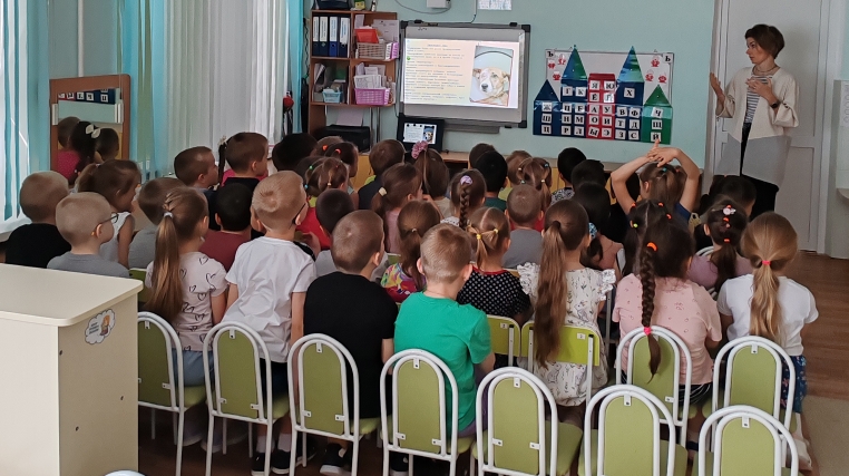 Акция "Поможем братьям нашим меньшим" Акция "Поможем братьям нашим меньшим".